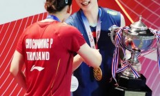 开云体育app-丹麦队完胜法国队，陈雨菲点燃赛场的简单介绍